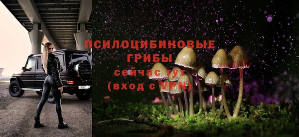 спиды Аркадак