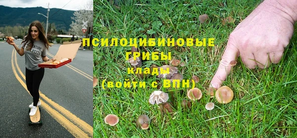ALPHA-PVP Армянск
