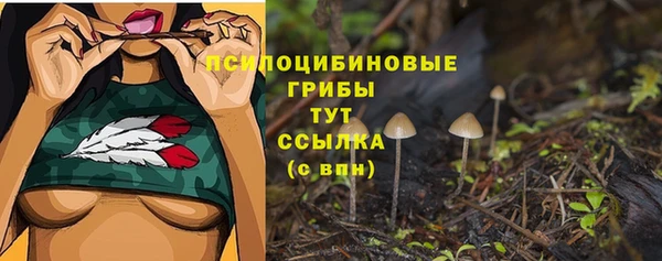 спиды Аркадак